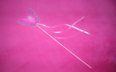 The magical wand to manifest your dreams